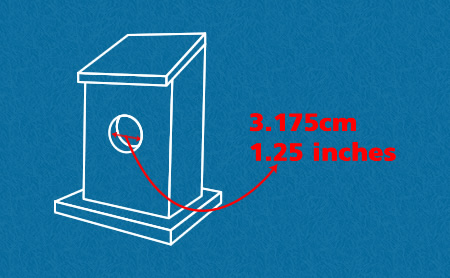 Keep the access hole very small. Keep the access hole very small.
