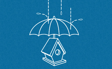 Protect your birdhouse from rain and moisture.