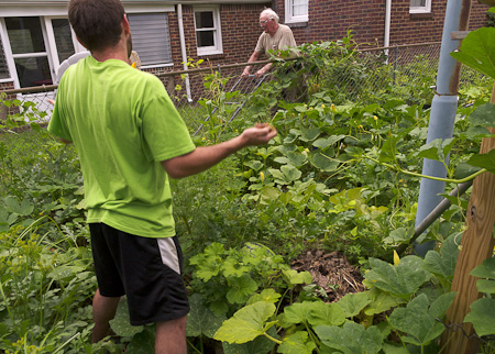 —permaculture gardening passion; but 'To  Hell!' with with yardwork.