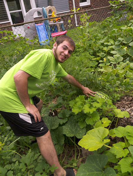 Watermelon in a Hugelkultur Bed in Charlie Zelhof's Permaculture Garden