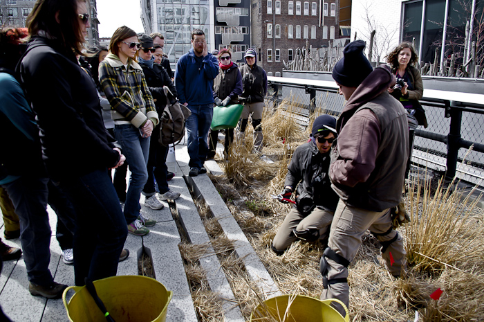 The Highline Garden Staff shows the volunteers how to do it properly.