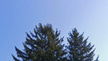 Bird House in the meadow within the Hilltop Reservation