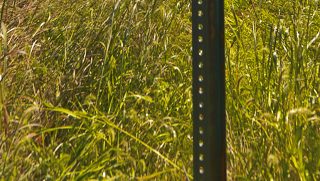 Bird House in the meadow within the Hilltop Reservation