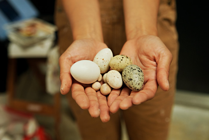 Hand-painted life-sized wooden bird eggs by Jane Kim for the Facebook Artist in Residence program