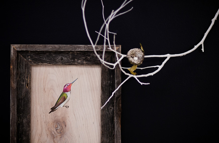 Anna's Hummingbird (Calypte anna), one of several birds painted by Jane Kim for the Facebook Artists in Residence Program