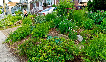 Gardener Dail Reid detailing one of the countless highlights of her gardens Gardener Dail Reid detailing one of the countless highlights of her gardens