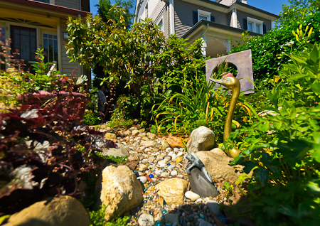 A detailed view of Dale and Tony's garden A detailed view of Dail and Tony's garden