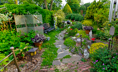 A typical New Jersey backyard?