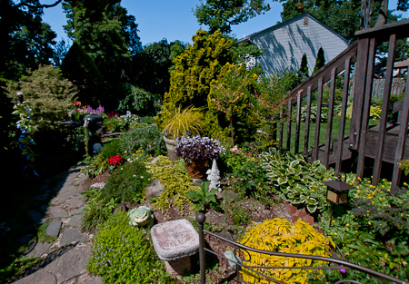 Another view of Dale & Tony's backyard.