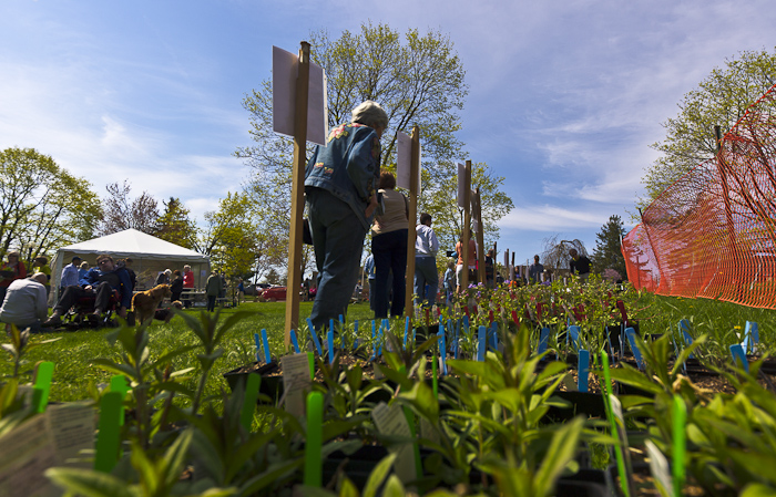Native Plant Center/Sale at Westchester Community College Native Plant Center/Sale at Westchester Community College