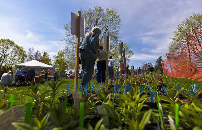 Native Plant Center/Sale at Westchester Community College