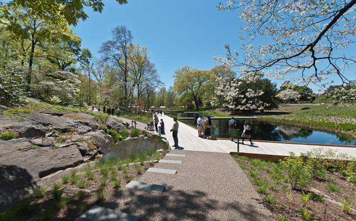 The New Native Plant Garden at The New York Botanical Garden