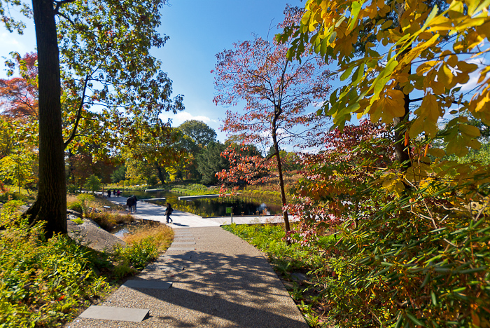 Autumn Remix: The New Native Plant Garden at The New York Botanical Garden