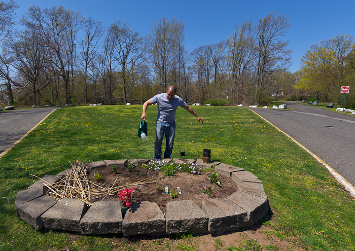 Neighbors have no time for native plant plugs to grow: While the seeds grow indoors, the plot is augmented with mature plugs from the garden store and a native plant sale.