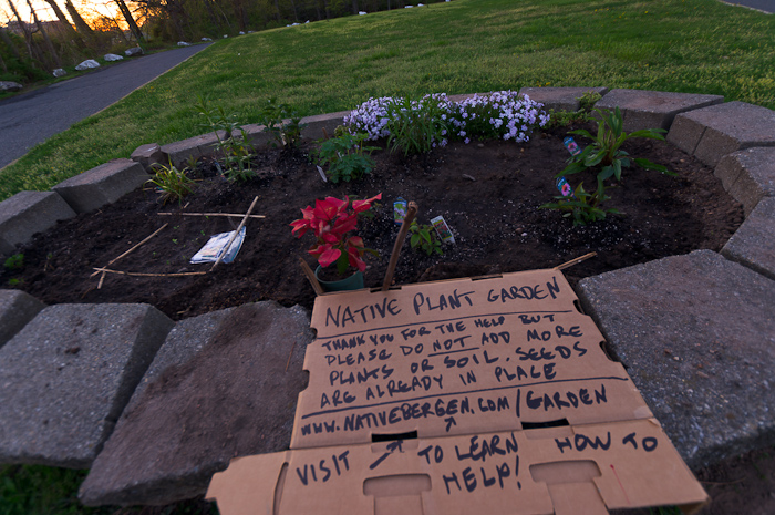 Native plant Garden and a desperate notice.