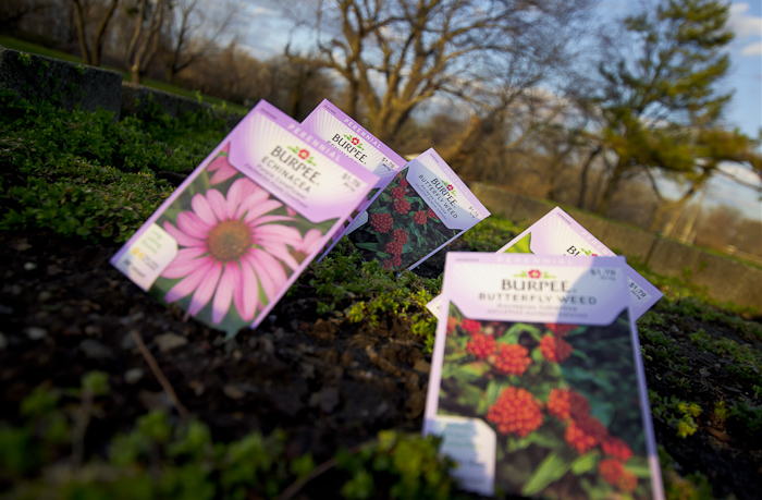 Native Plant Seed Packets Native Plant Seed Packets