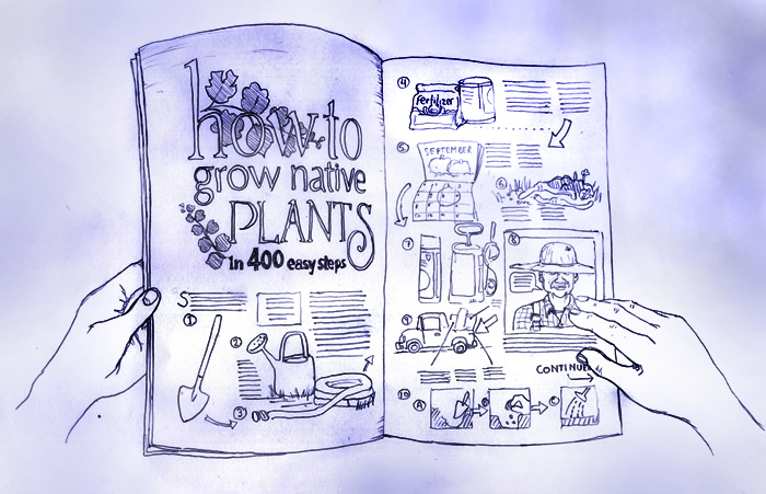 Grow Native Plants in 400 Easy Steps Grow Native Plants in 400 Easy Steps