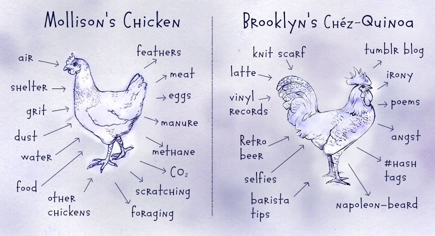 Bring Back the Chicken Bring Back the Chicken