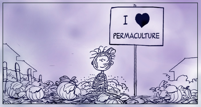 I love permaculture! I love permaculture!