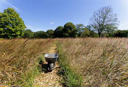 The prairie meadow at the top of the Hilltop Reservation